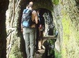 Laurissilva Forest Walk