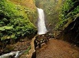 Waterfall Gardens plus Doka coffe tour