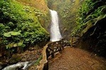 Waterfall Gardens plus Doka coffe tour