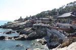Small Group : Busan Highlight Tour with Heaedong Yonggungsa and Gamcheon Village