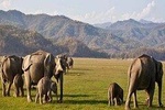 Private Transfer: Delhi to Corbett National Park with Brunch