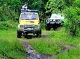 Salak Plantation Tour By Jeep