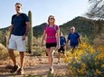 Half-Day Sonoran Desert Hiking Tour