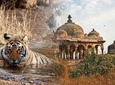 The Golden Triangle with Tigers