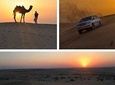  Sunset Desert Safari,Sand Boarding, Camel Ride,Inland sea visit