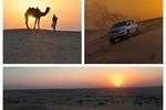  Sunset Desert Safari,Sand Boarding, Camel Ride,Inland sea visit