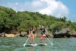 Stand Up Paddle Boarding