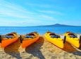 Day sea kayak tour Rangitoto Island
