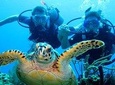 10 fun dive package