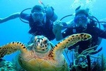 10 fun dive package