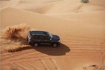 Full Day Desert Safari Dune Bashing Camel Ride and BBQ meal