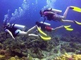 Mantanani Island Diving Paradise Tour (Certified Diver) from Kota Kinabalu