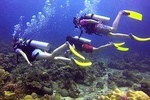 Mantanani Island Diving Paradise Tour (Certified Diver) from Kota Kinabalu