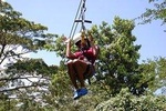 Ziplining Dunn's River Falls Excursion from Falmouth