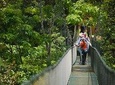 Hanging Bridges Adventure San Luis From San Jose