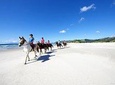 Private Tour: Beach Horse Riding, Wine Tasting & Art Trail