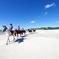Private Tour: Beach Horse Riding, Wine Tasting & Art Trail