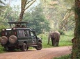 8day Best of Tanzania Wildlife Lodge Safari