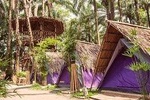 Eco tents at Tadom Hill Resort with Diving Platform, Water Swing & Tarzan Swing