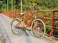 Unique Bamboo Bicycle Tour in the Green Jungle of Bangkok