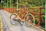 Unique Bamboo Bicycle Tour in the Green Jungle of Bangkok