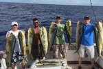 Shared Sportfishing Trip
