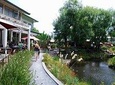 Matakana Art and Wine Escape