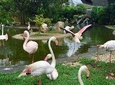 Kuala Lumpur Garden, Park & Museum Tour With Lunch