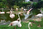 Kuala Lumpur Garden, Park & Museum Tour With Lunch
