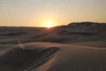 (Private) Sunrise Desert Safari Dune bashing, Camel ride and sand boarding .