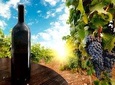 Wine Tour from Kutaisi