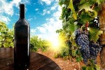 Wine Tour from Kutaisi