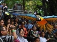 Kuala Lumpur Bird Park Admission Tickets & Free Shopping Tour