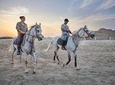 Arabian Sunset Horse Riding & Stable Tour