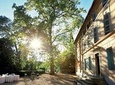 provence wine tasting