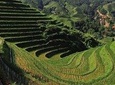 Private Custom Tour: 2 days Longji rice terraces private tour