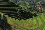 Private Custom Tour: 2 days Longji rice terraces private tour