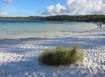 Swim in Lake Birrabeen, Fraser Island, Queensland, Australia