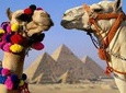 Cairo: Giza Pyramid, Sakkara & Memphis Full Day Guided Tour