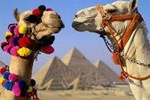 Cairo: Giza Pyramid, Sakkara & Memphis Full Day Guided Tour