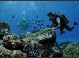 Private Tour: Underwater Scooter Bora Bora
