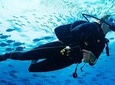 Kota Kinabalu Leisure Diving (Experienced Divers)