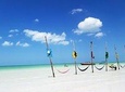 Exclusive Holbox tour 