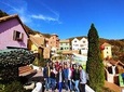 Full-Day Customizable Private Tour to Nami Island and surrounding Area