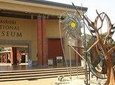 Half Day Tour to Nairobi National Museum & Snake Park