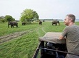 Private Dambulla & Kaudulla National Park Day Tour From Colombo