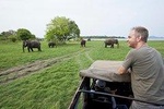 Private Dambulla & Kaudulla National Park Day Tour From Colombo