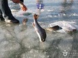 3day Korea winter private tour to Nami, Ski Resort and Ice Fishing Festival