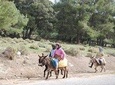 Desert Agafay & Waterfalls & Atlas Mountains Camel Ride Day trip From Marrakech 