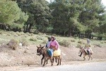 Desert Agafay & Waterfalls & Atlas Mountains Camel Ride Day trip From Marrakech 